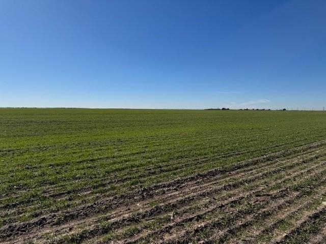69.13 acres in Taylor County - photo 5