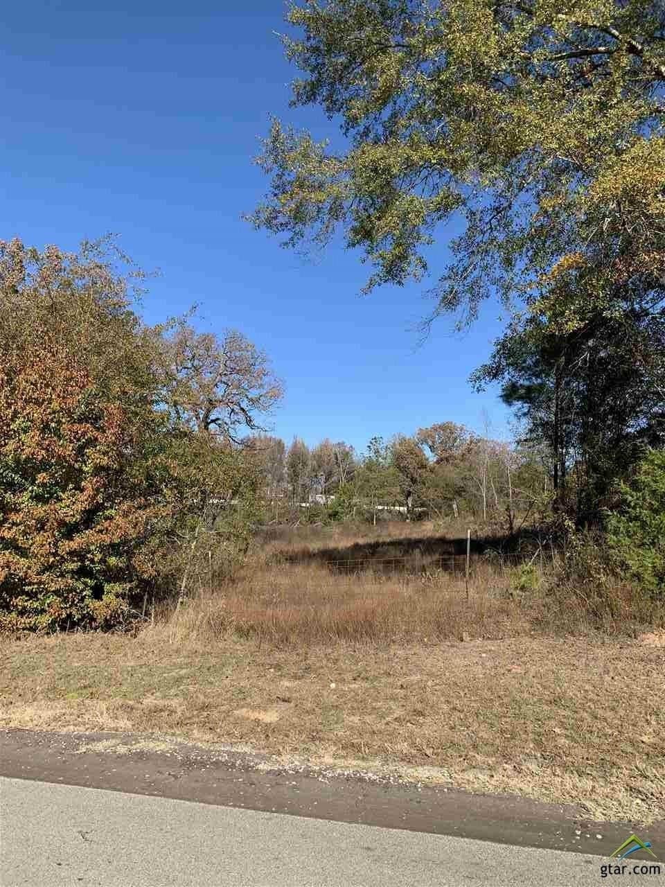 23.03 acres in Smith County - photo 10