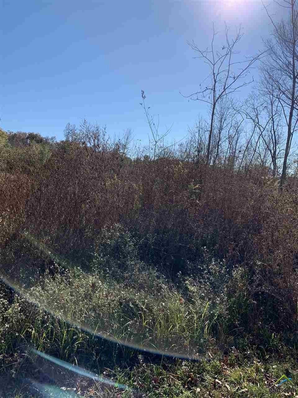 23.03 acres in Smith County - photo 4