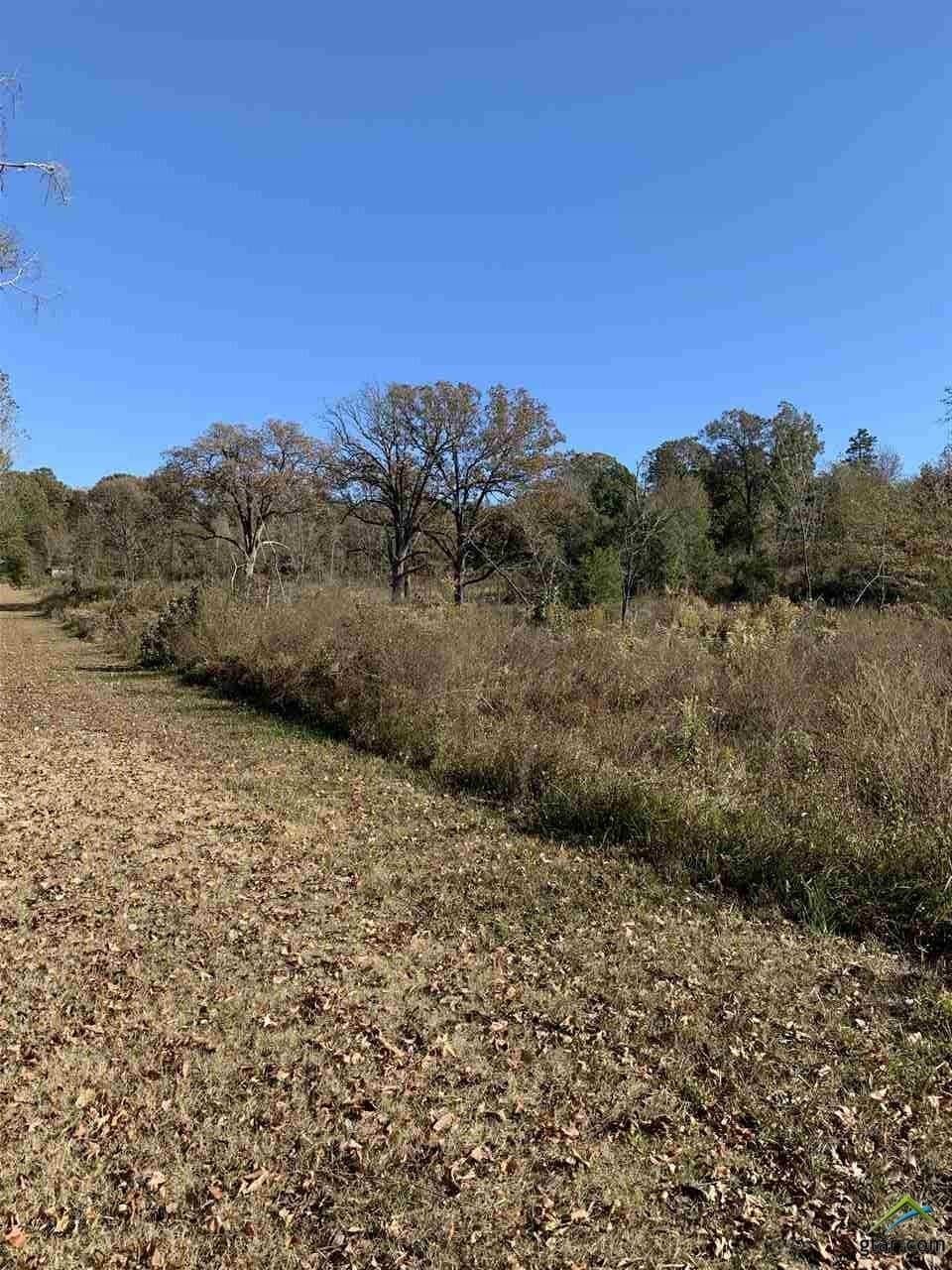 23.03 acres in Smith County - photo 5
