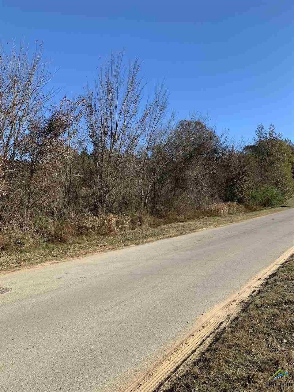 23.03 acres in Smith County - photo 9