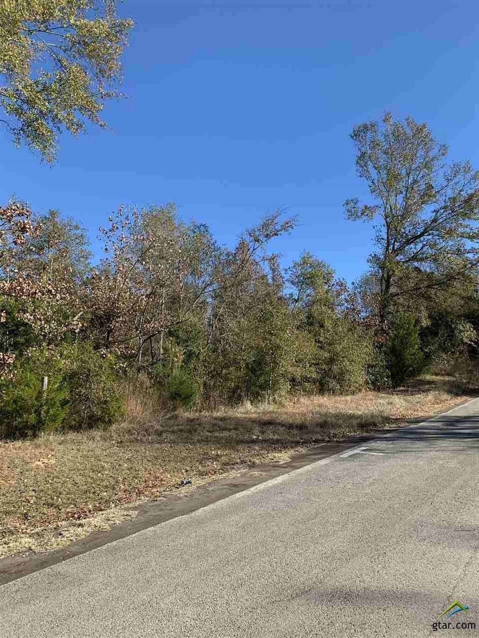 23.03 acres in Smith County - photo 12