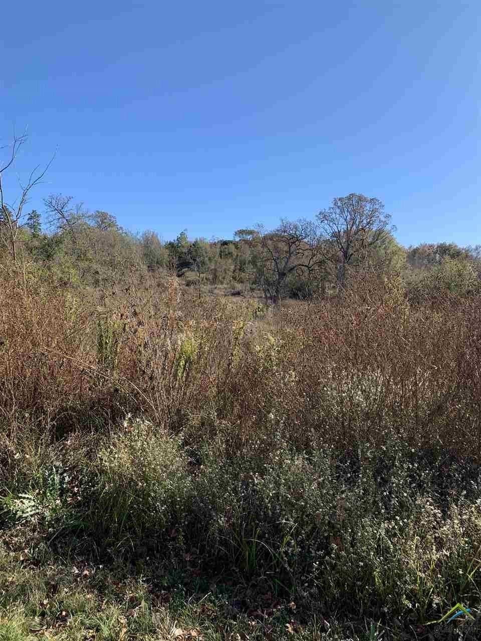 23.03 acres in Smith County - photo 3