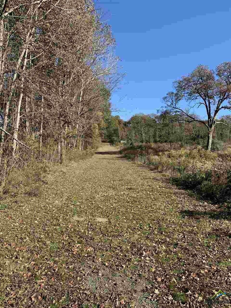 23.03 acres in Smith County - photo 8