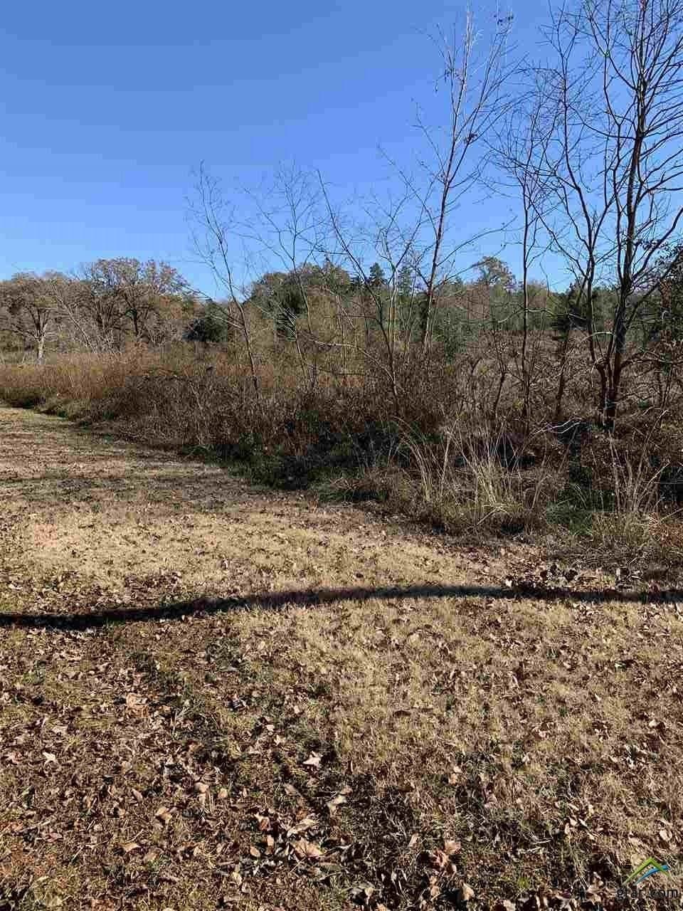 23.03 acres in Smith County - photo 2