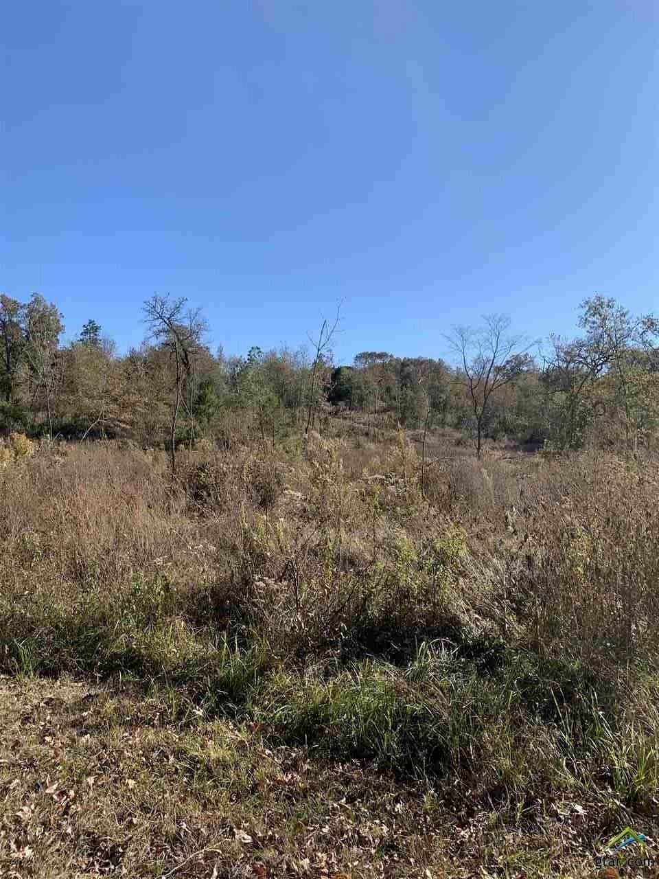 23.03 acres in Smith County - photo 6