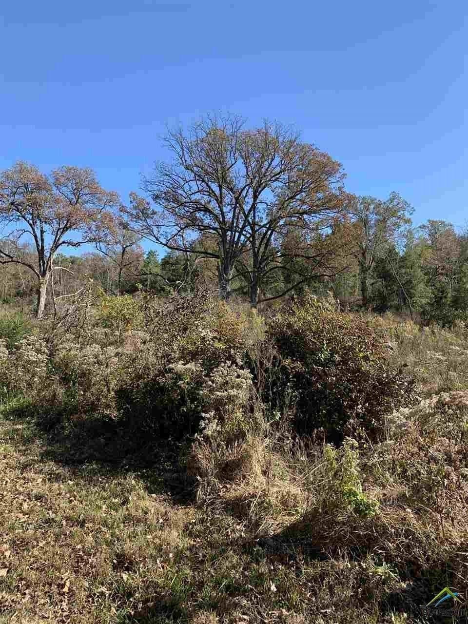 23.03 acres in Smith County - photo 7