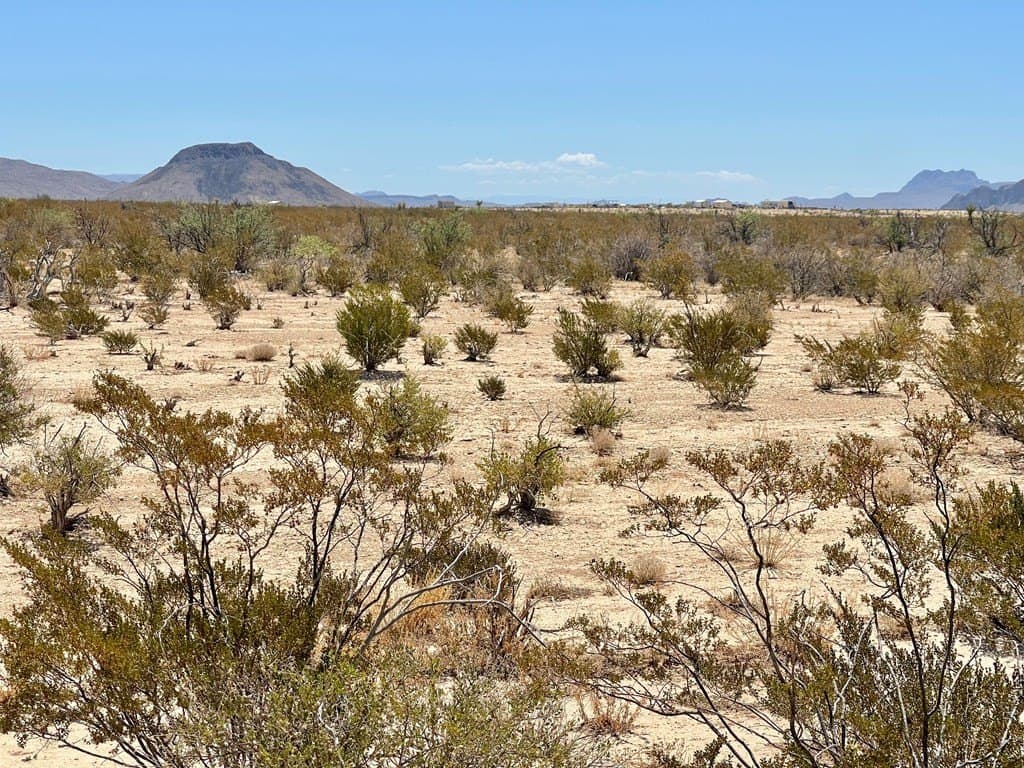 5 acres in Brewster County - photo 3