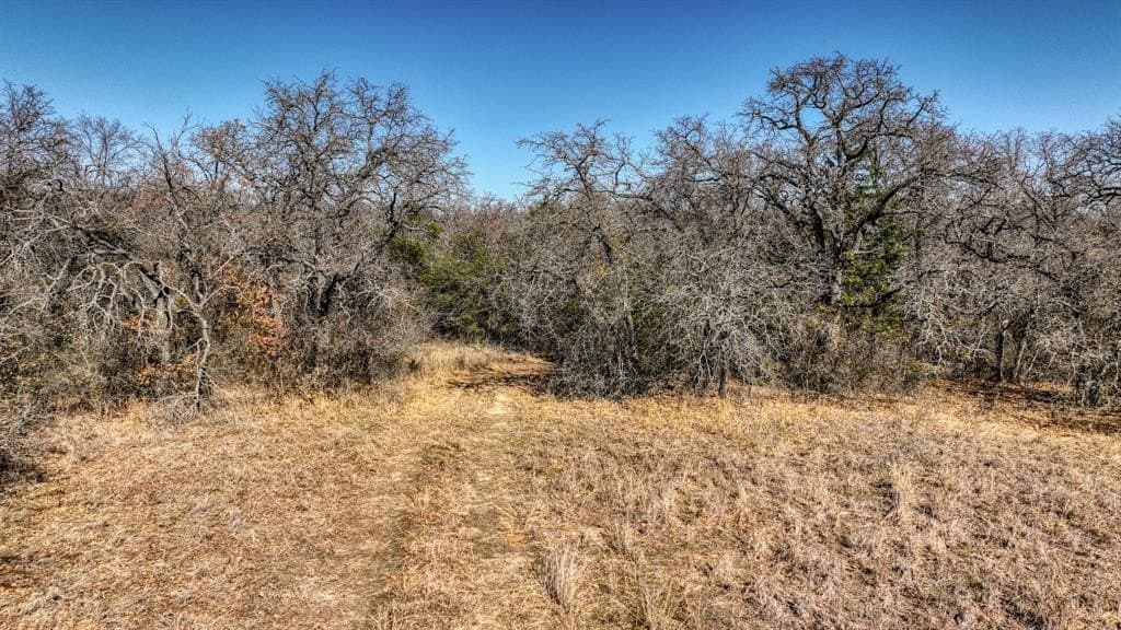 29.19 acres in Wise County - photo 6