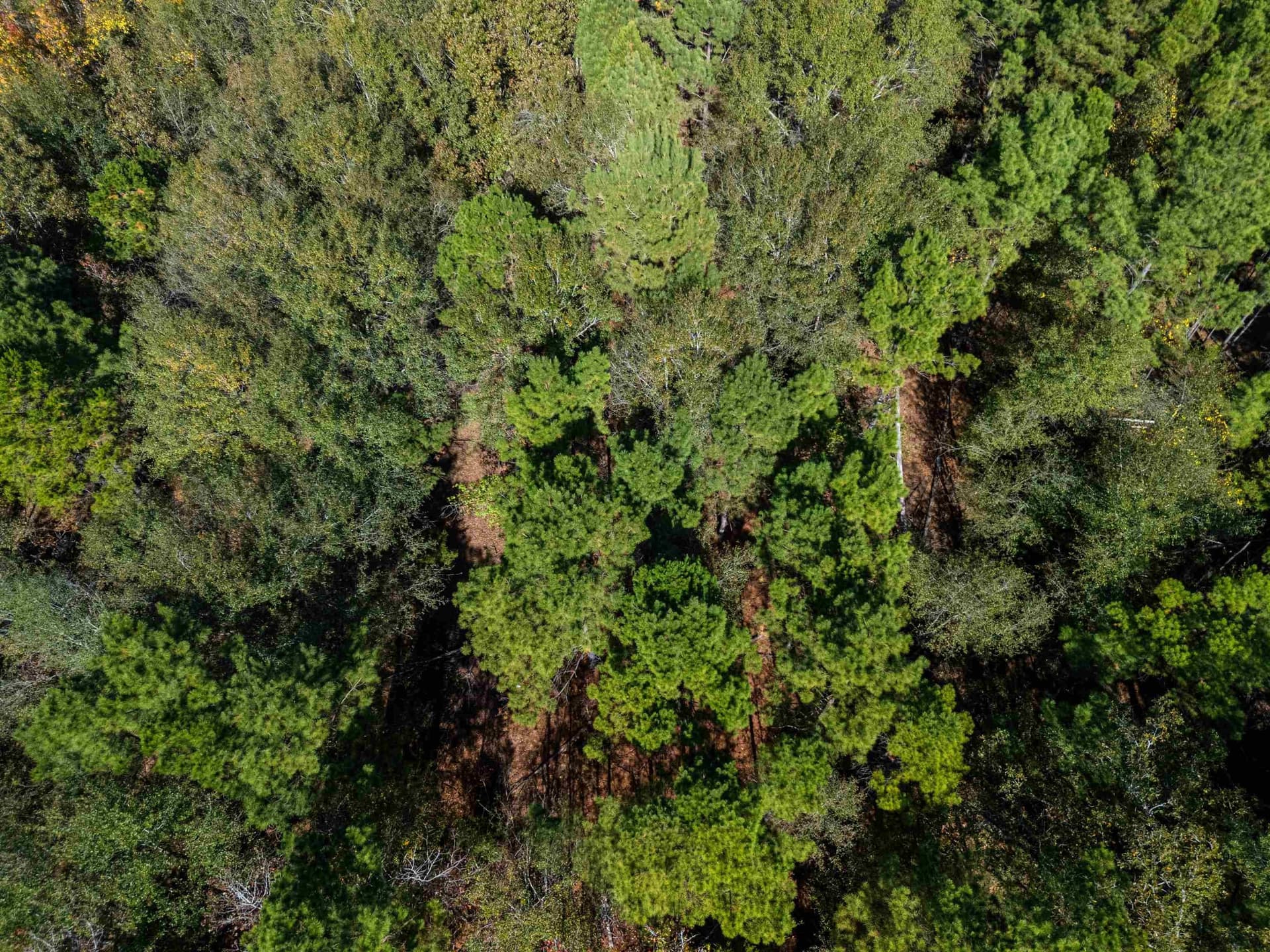 10.37 acres in Texas County - photo 10