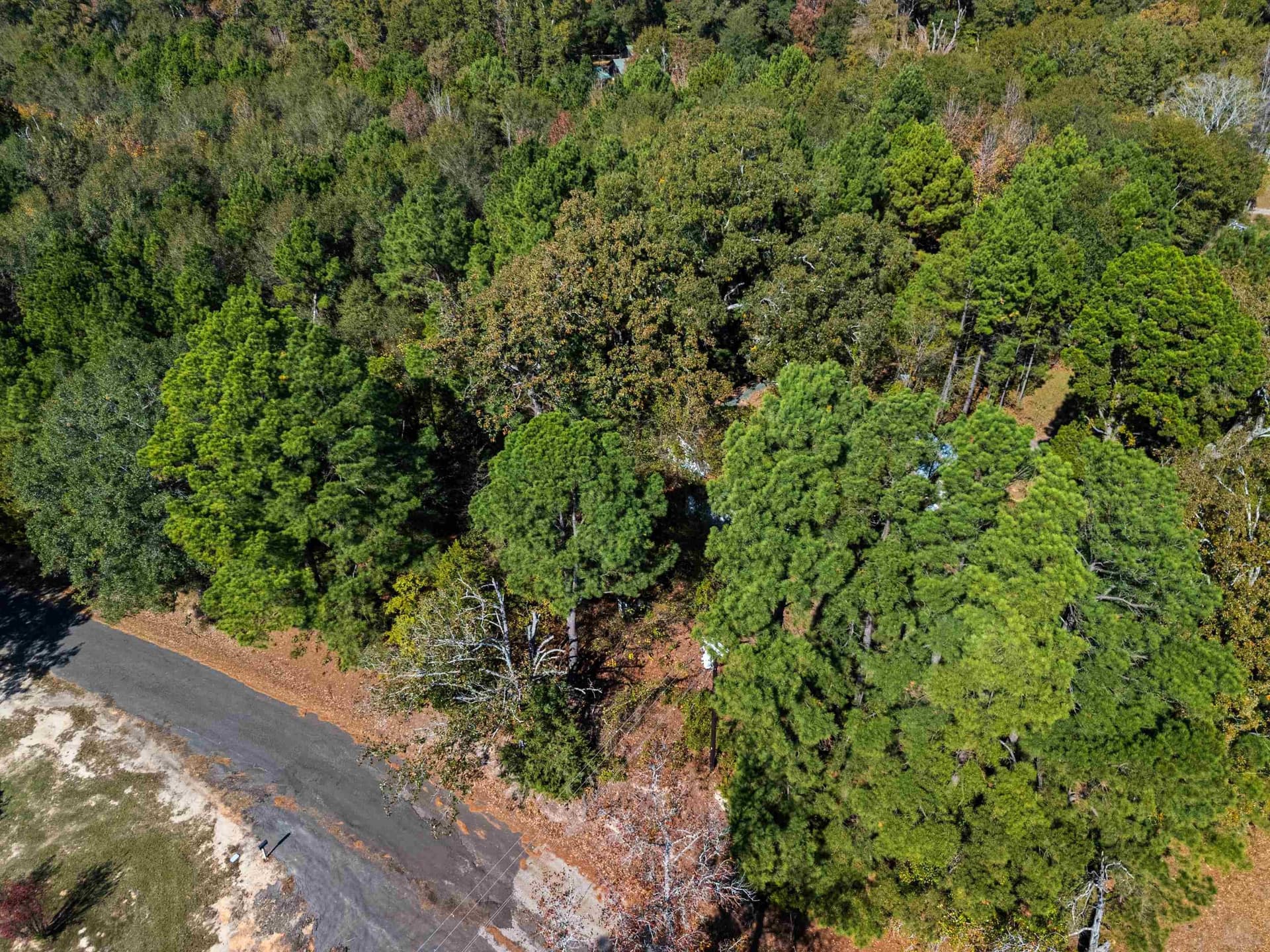10.37 acres in Texas County - photo 11
