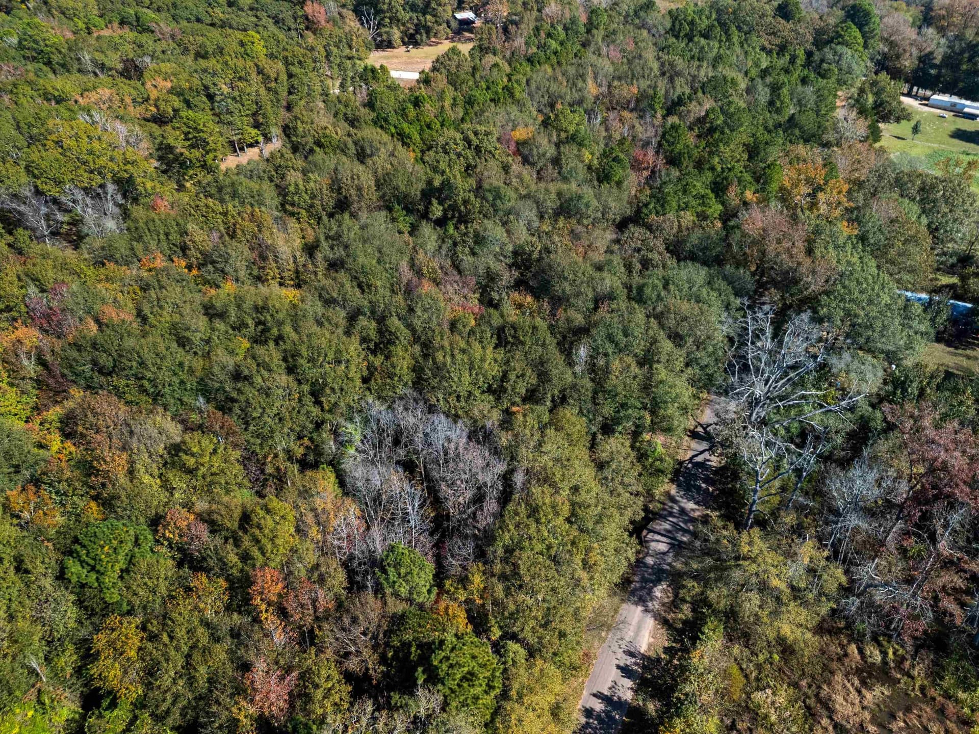 10.37 acres in Texas County - photo 7