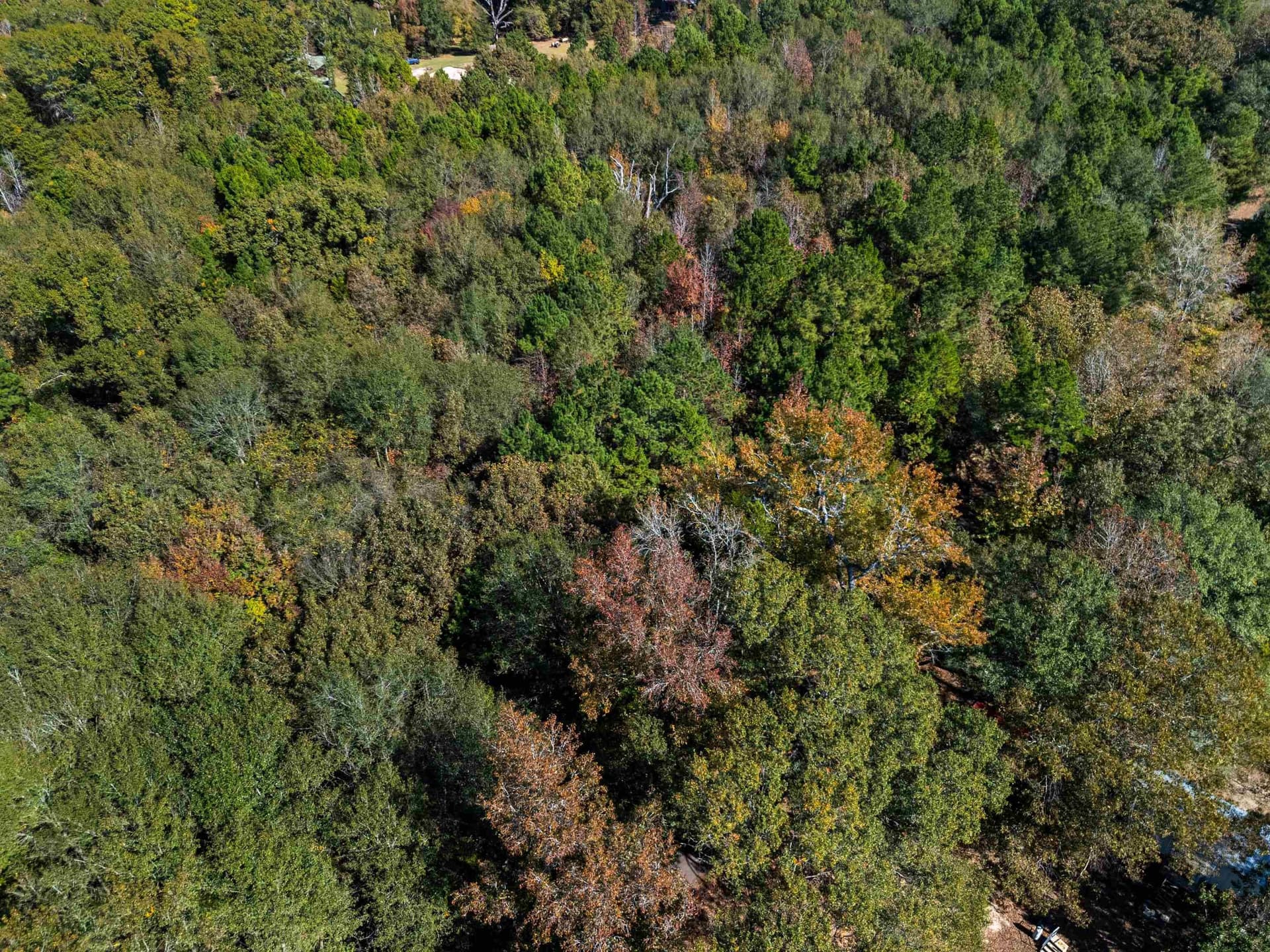 10.37 acres in Texas County - photo 8