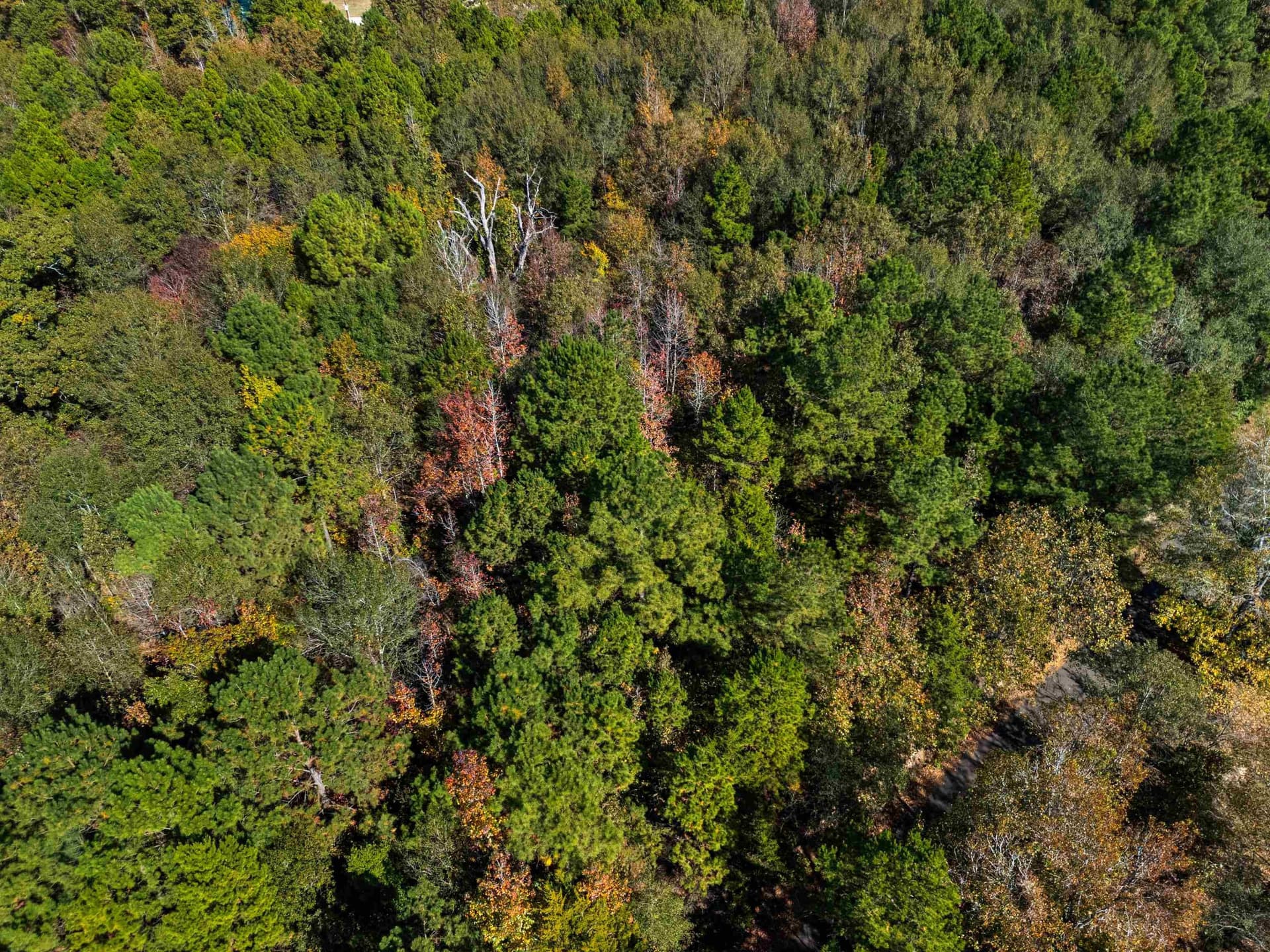 10.37 acres in Texas County - photo 20