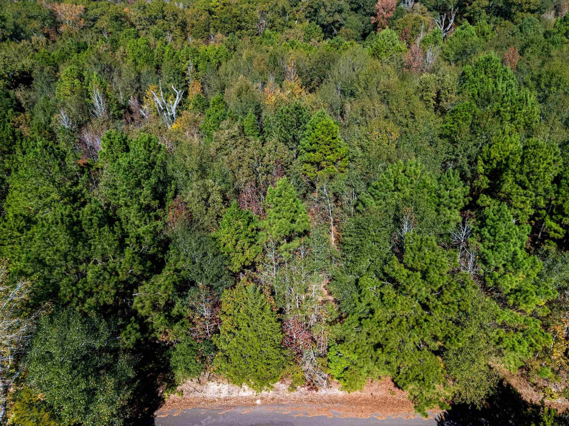 10.37 acres in Texas County - photo 9