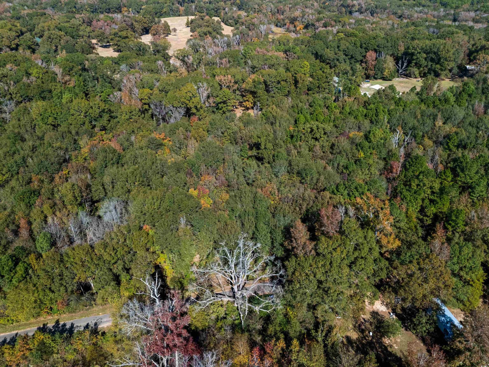 10.37 acres in Texas County - photo 19