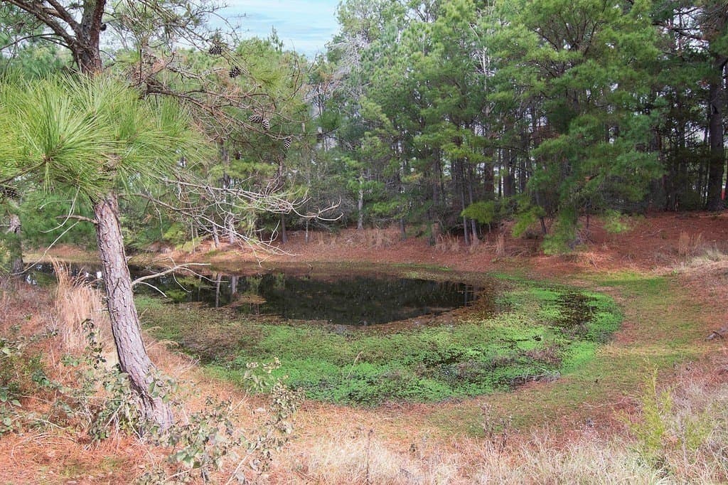 3.16 acres in Fayette County - photo 10