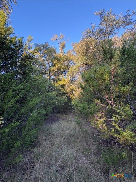 37.76 acres in Lampasas County - photo 27