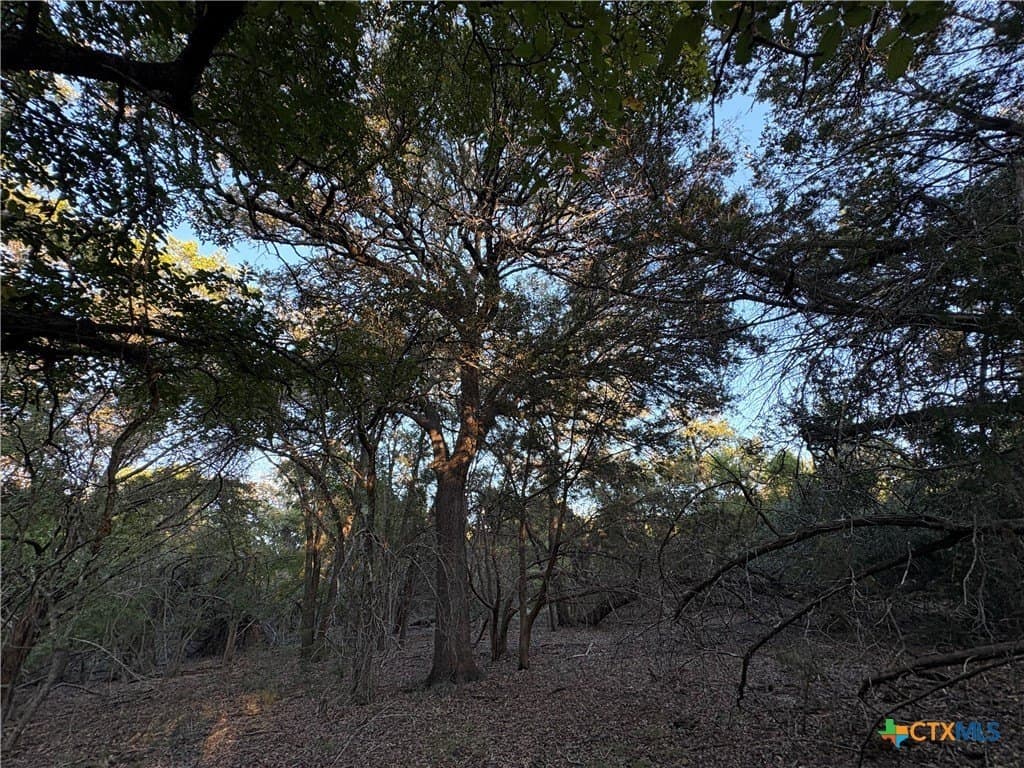 37.76 acres in Lampasas County - photo 7