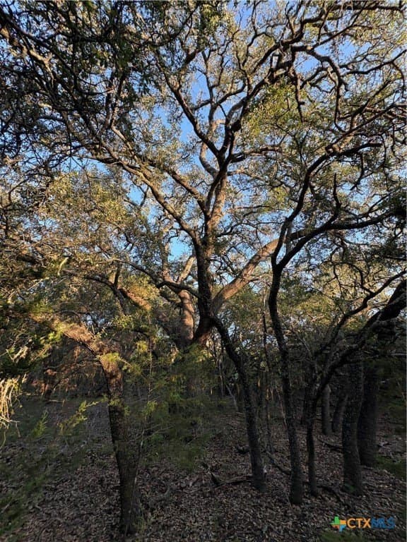 37.76 acres in Lampasas County - photo 9