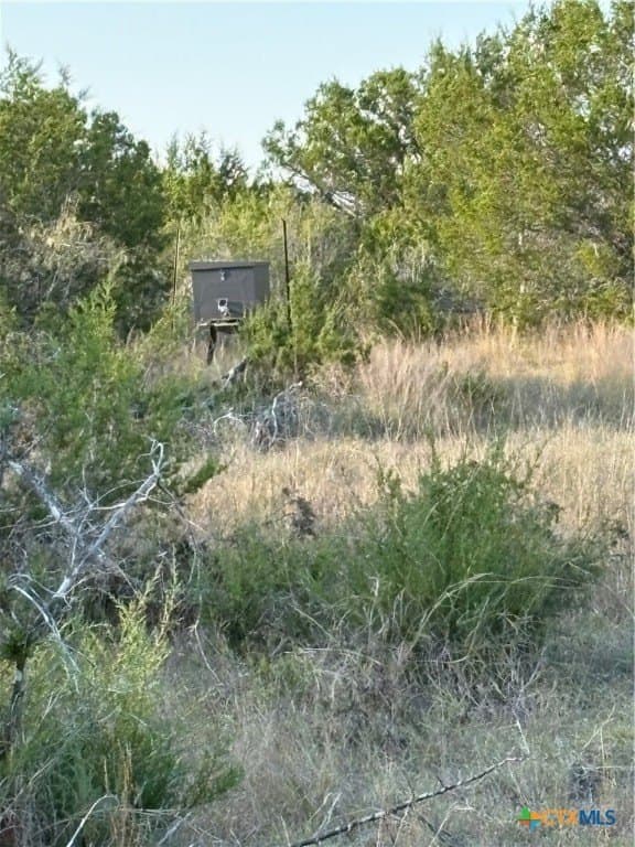 37.76 acres in Lampasas County - photo 18