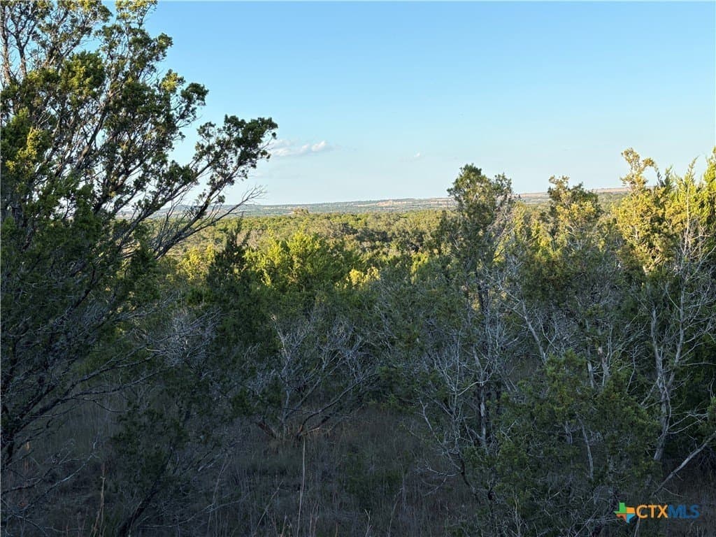 37.76 acres in Lampasas County - photo 12