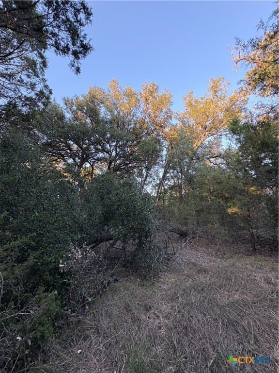 37.76 acres in Lampasas County - photo 22