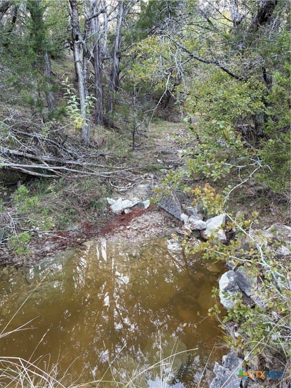 37.76 acres in Lampasas County - photo 15