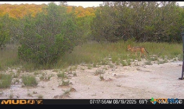 37.76 acres in Lampasas County - photo 24