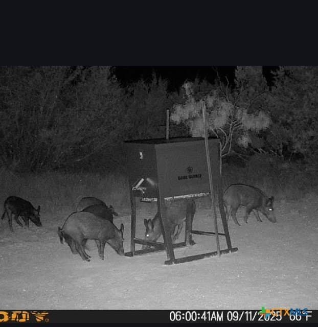 37.76 acres in Lampasas County - photo 25