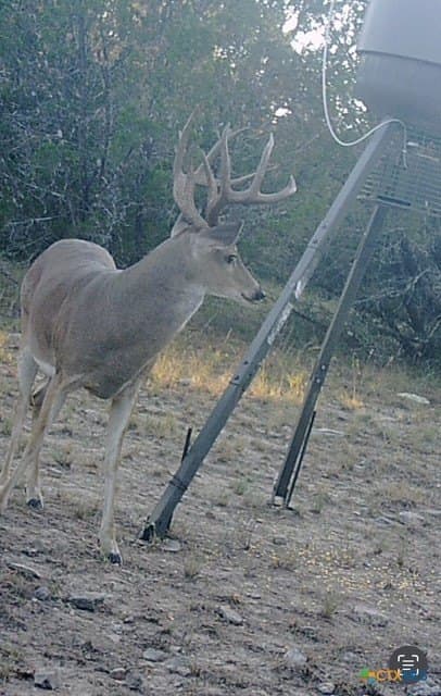 37.76 acres in Lampasas County - photo 3