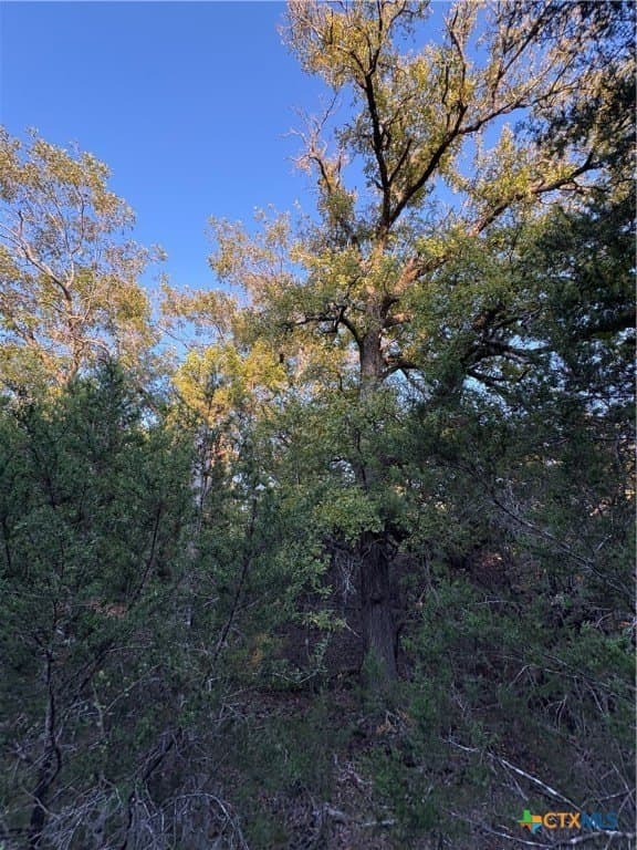 37.76 acres in Lampasas County - photo 19