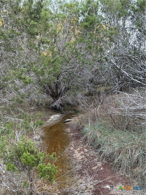 37.76 acres in Lampasas County - photo 8
