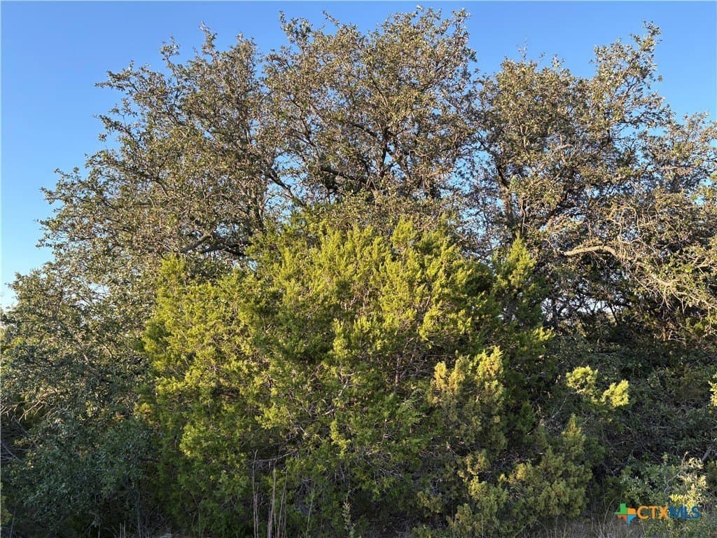 37.76 acres in Lampasas County - photo 17