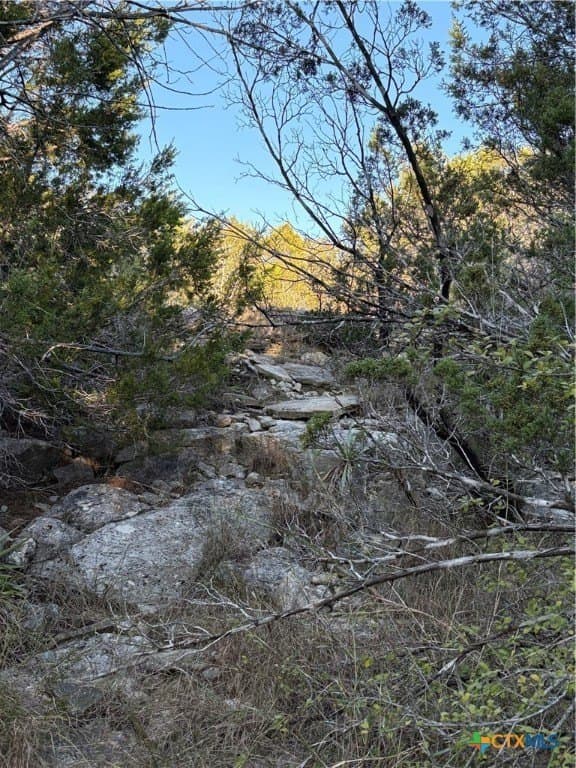 37.76 acres in Lampasas County - photo 13