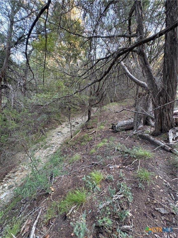 37.76 acres in Lampasas County - photo 6