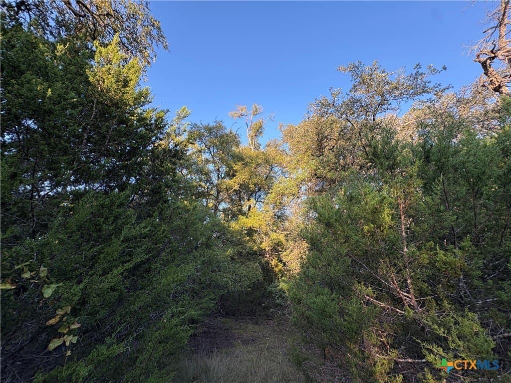 37.76 acres in Lampasas County - photo 20