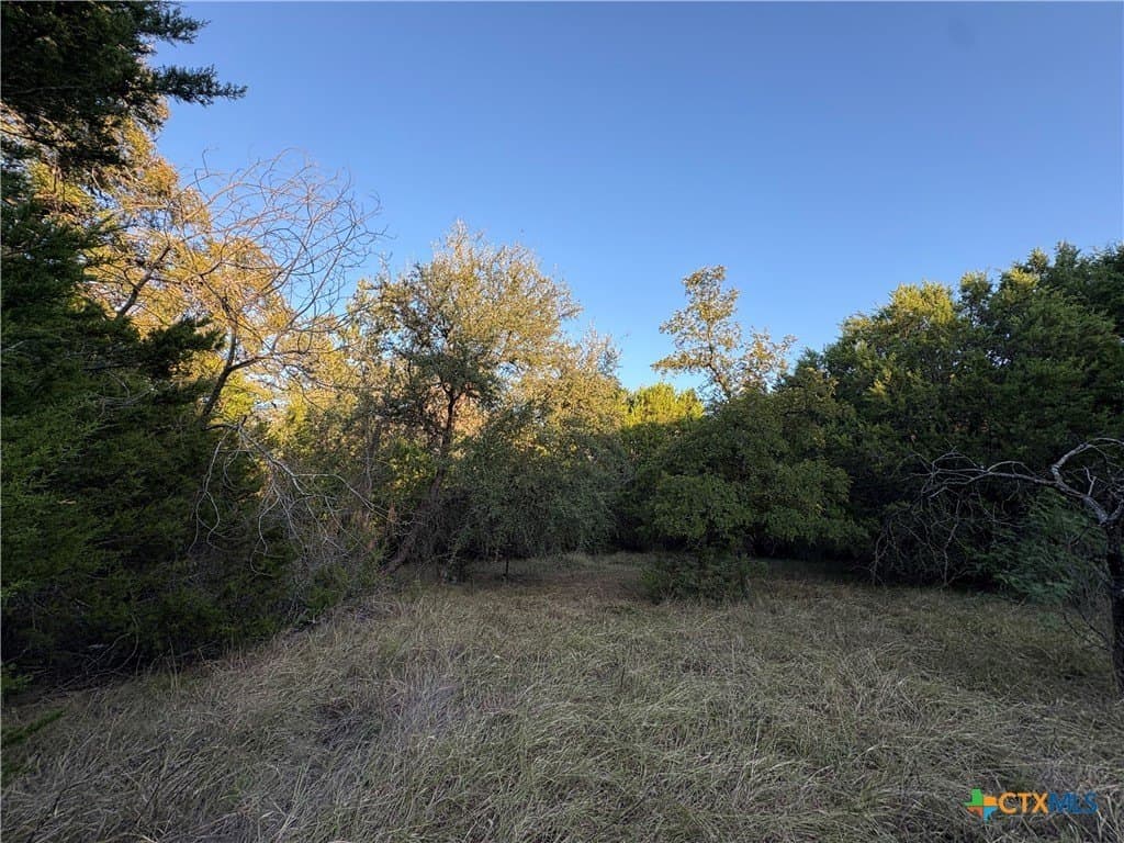 37.76 acres in Lampasas County - photo 2