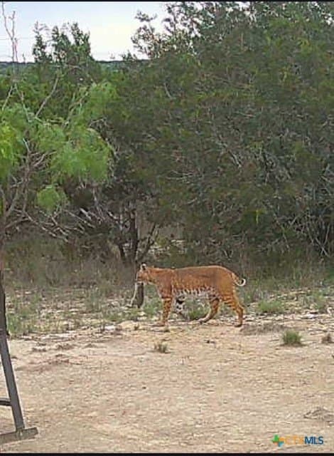 37.76 acres in Lampasas County - photo 23