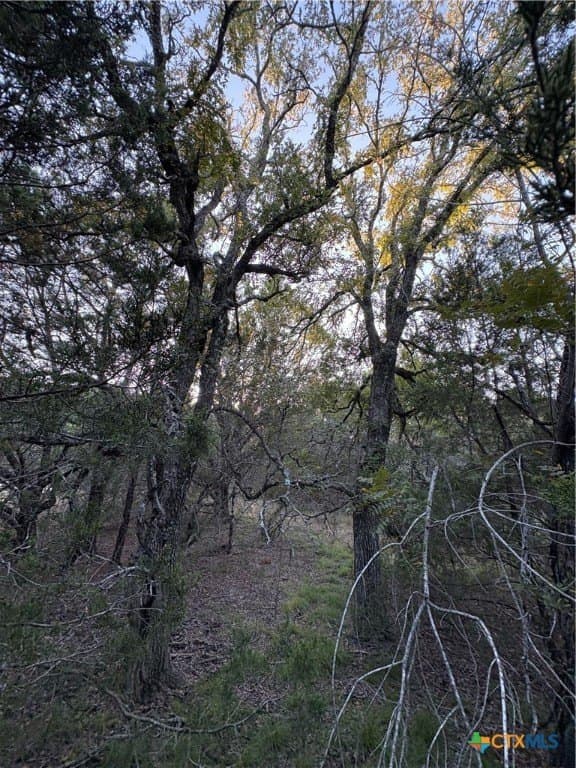37.76 acres in Lampasas County - photo 10