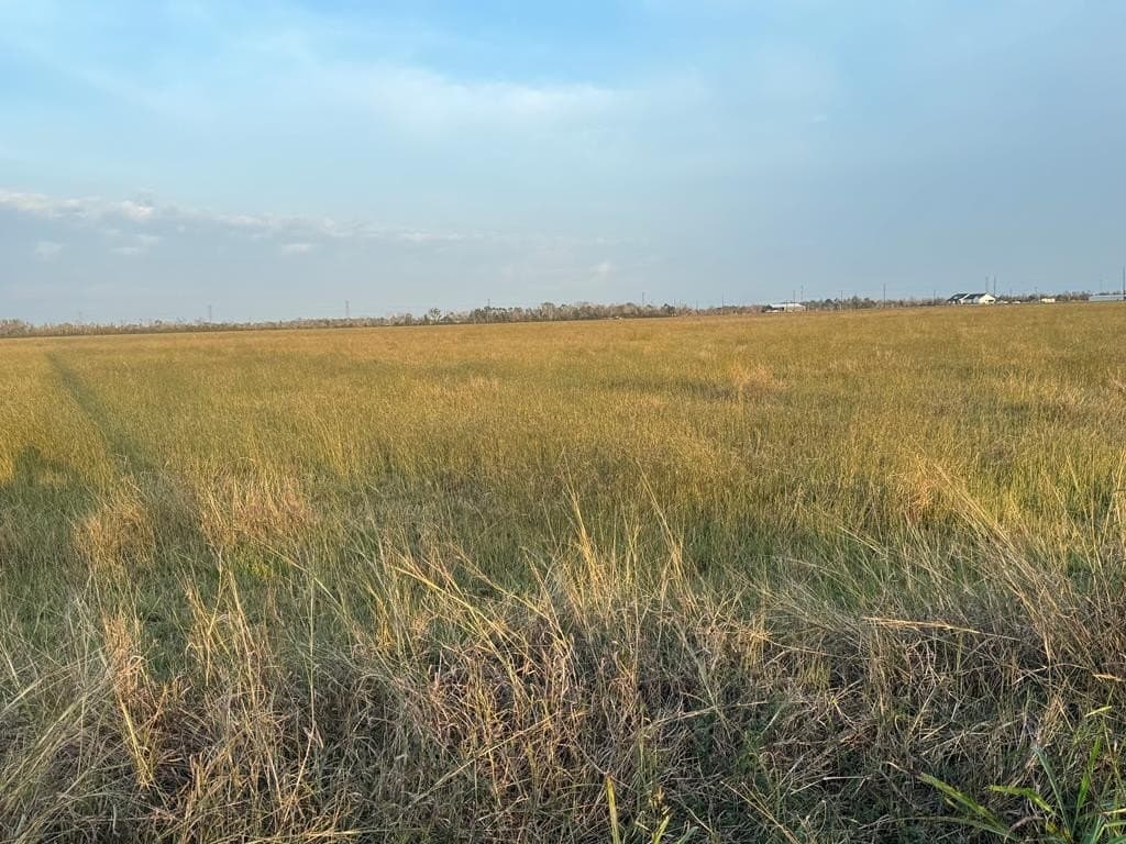 25 acres in Texas County - photo 16