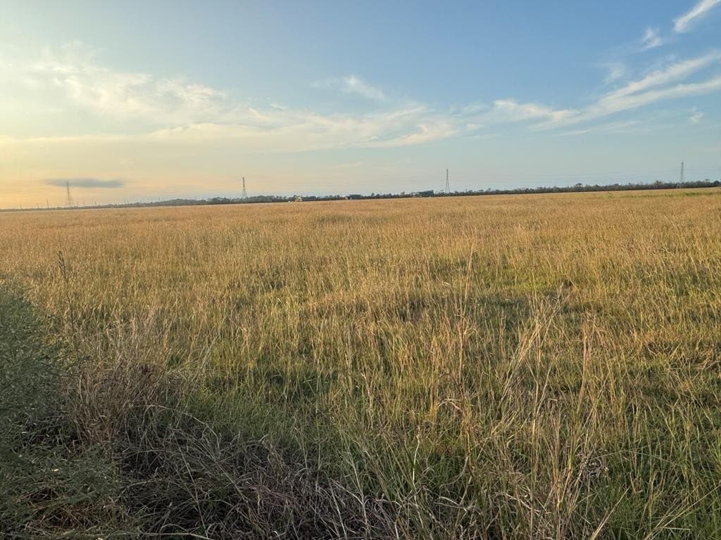 25 acres in Texas County - photo 12