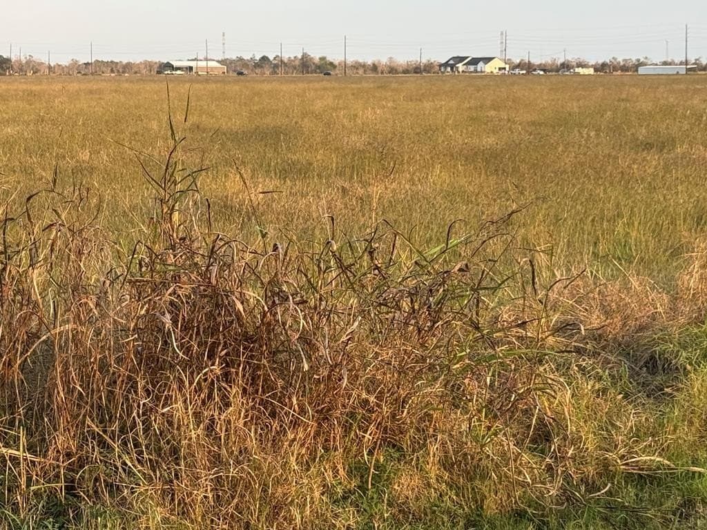 25 acres in Texas County - photo 10