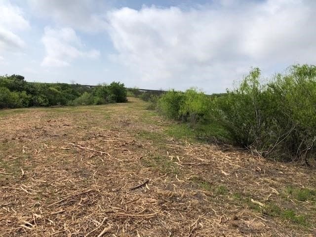 161.43 acres in Calhoun County - photo 4