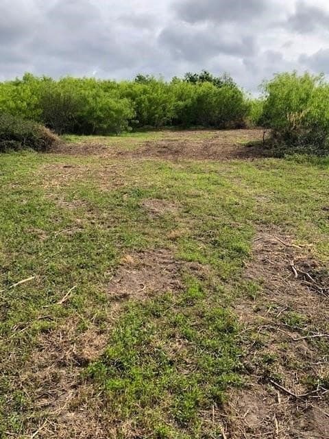 161.43 acres in Calhoun County - photo 5
