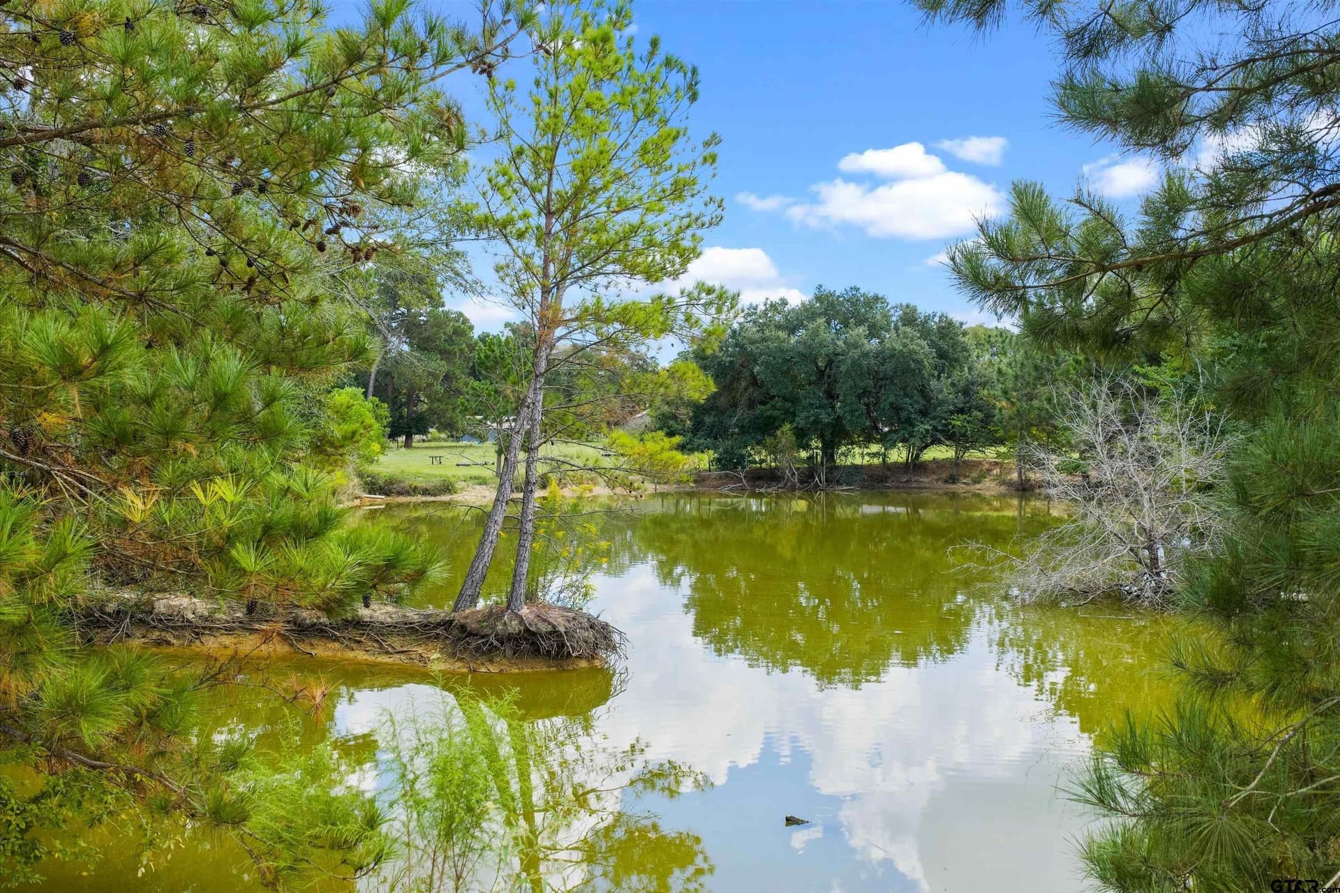 40.41 acres in Rusk County - photo 15