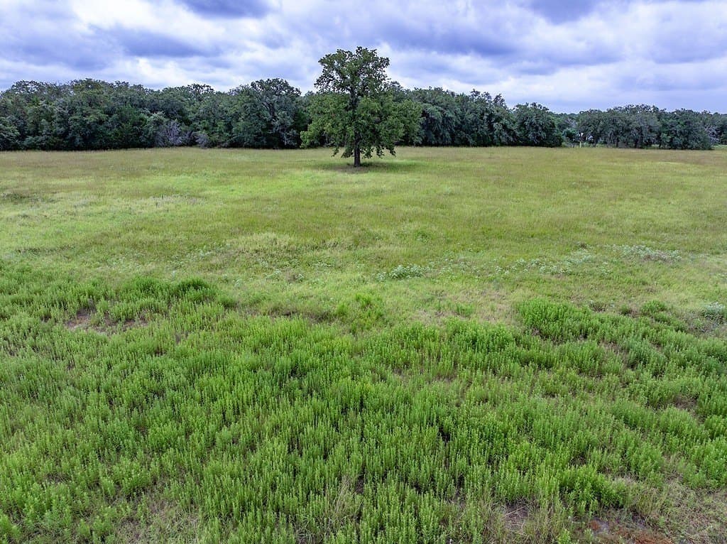 4.58 acres in Fayette County - photo 14