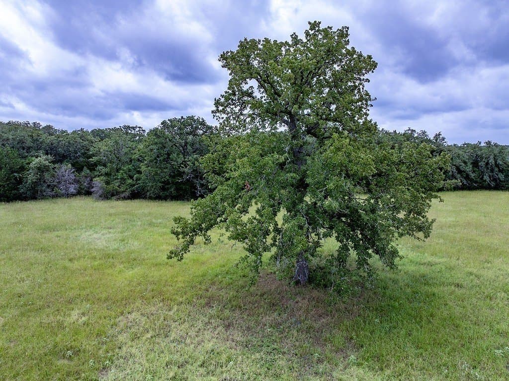 4.58 acres in Fayette County - photo 13