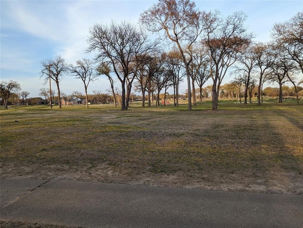 0.37 acres in Kaufman County - photo 13
