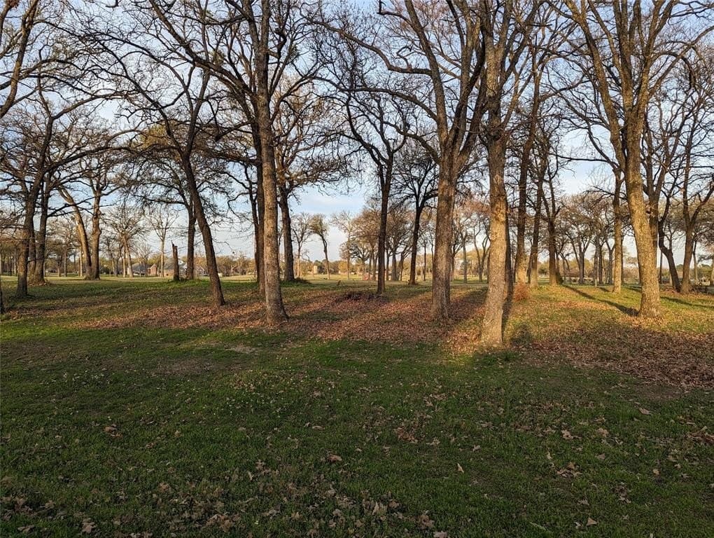 0.37 acres in Kaufman County - photo 8